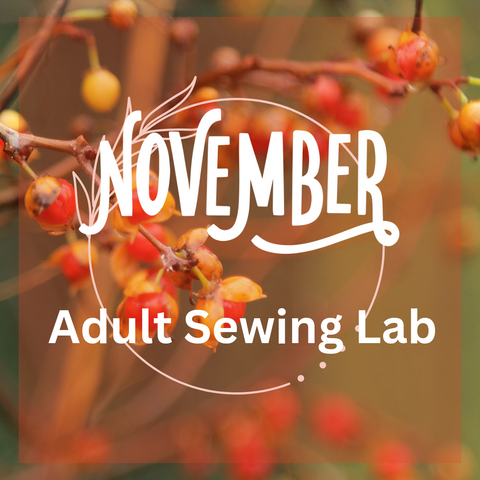 November Adult Sewing Lab 2024